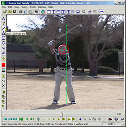 cSwing screenshot