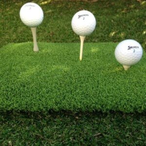 Artificial Turf