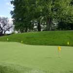 Artificial Putting Turf